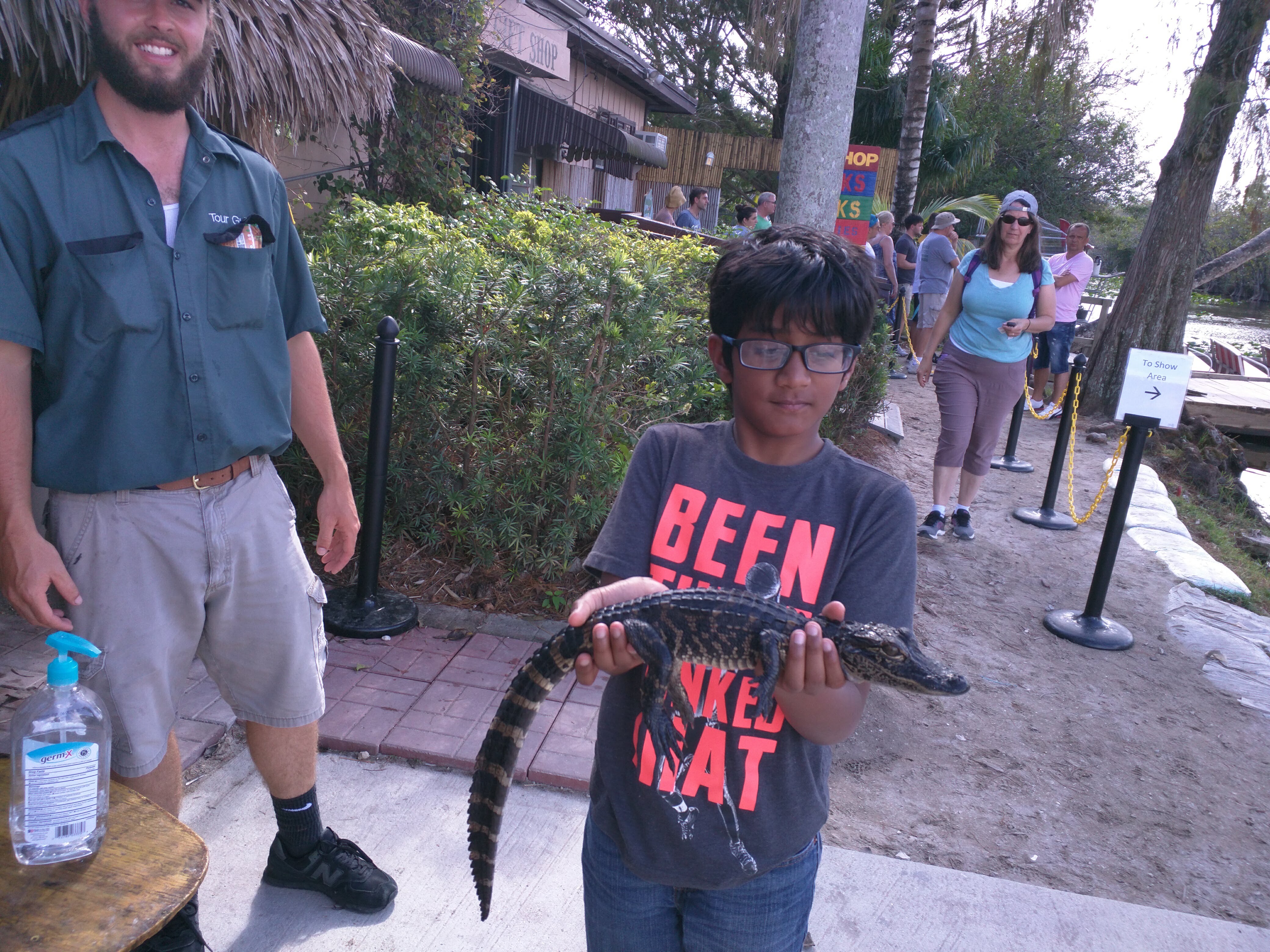 Holding a juvenile American Alligator